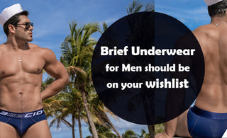 mens brief underwear