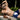 Mens Boxers | Variety of Styles for Trunks Underwear