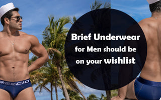 mens brief underwear