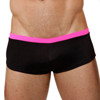 Briefs
