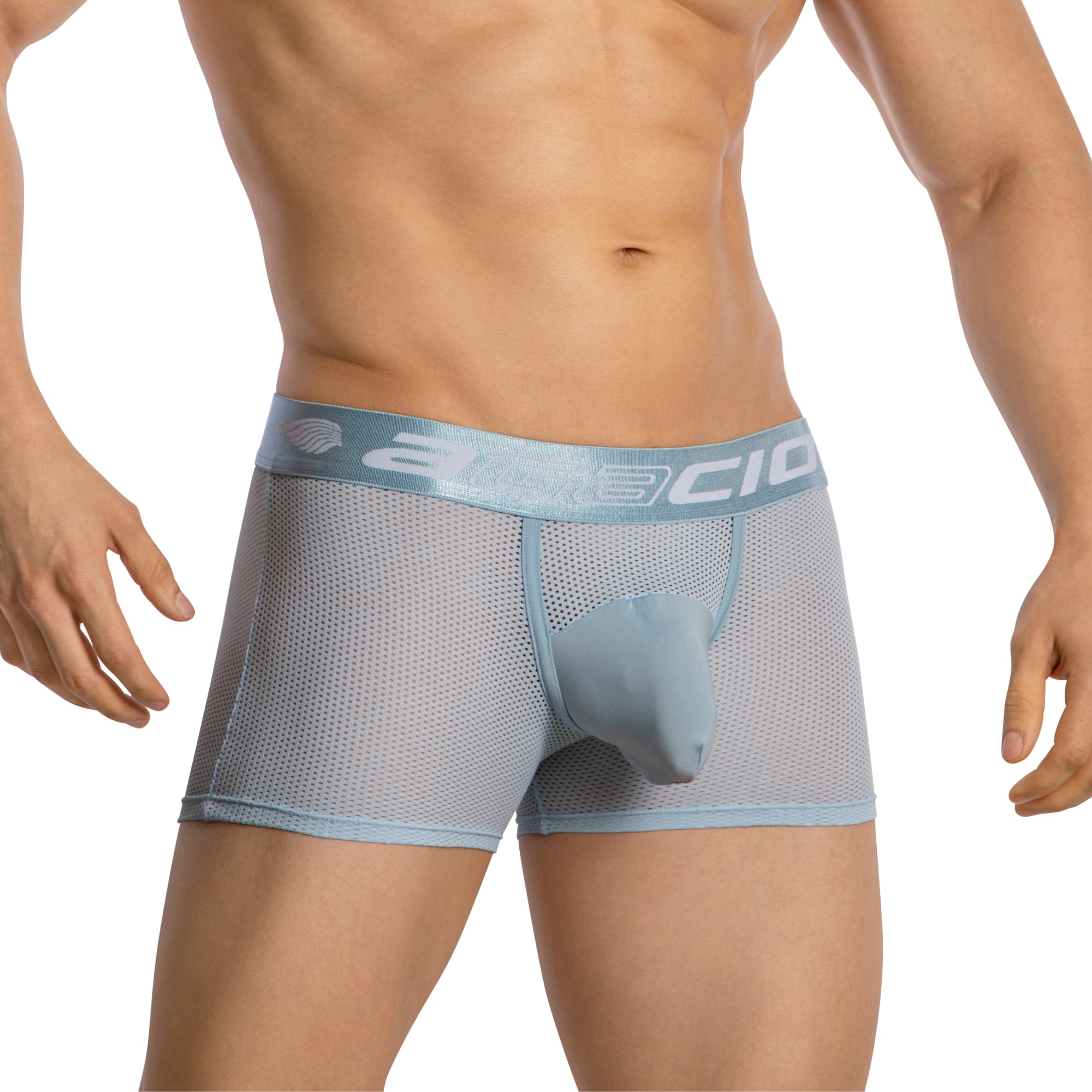 Agacio Boxer Mesh Trunks with Pouch AGG085 Seductive Men's Undergarment