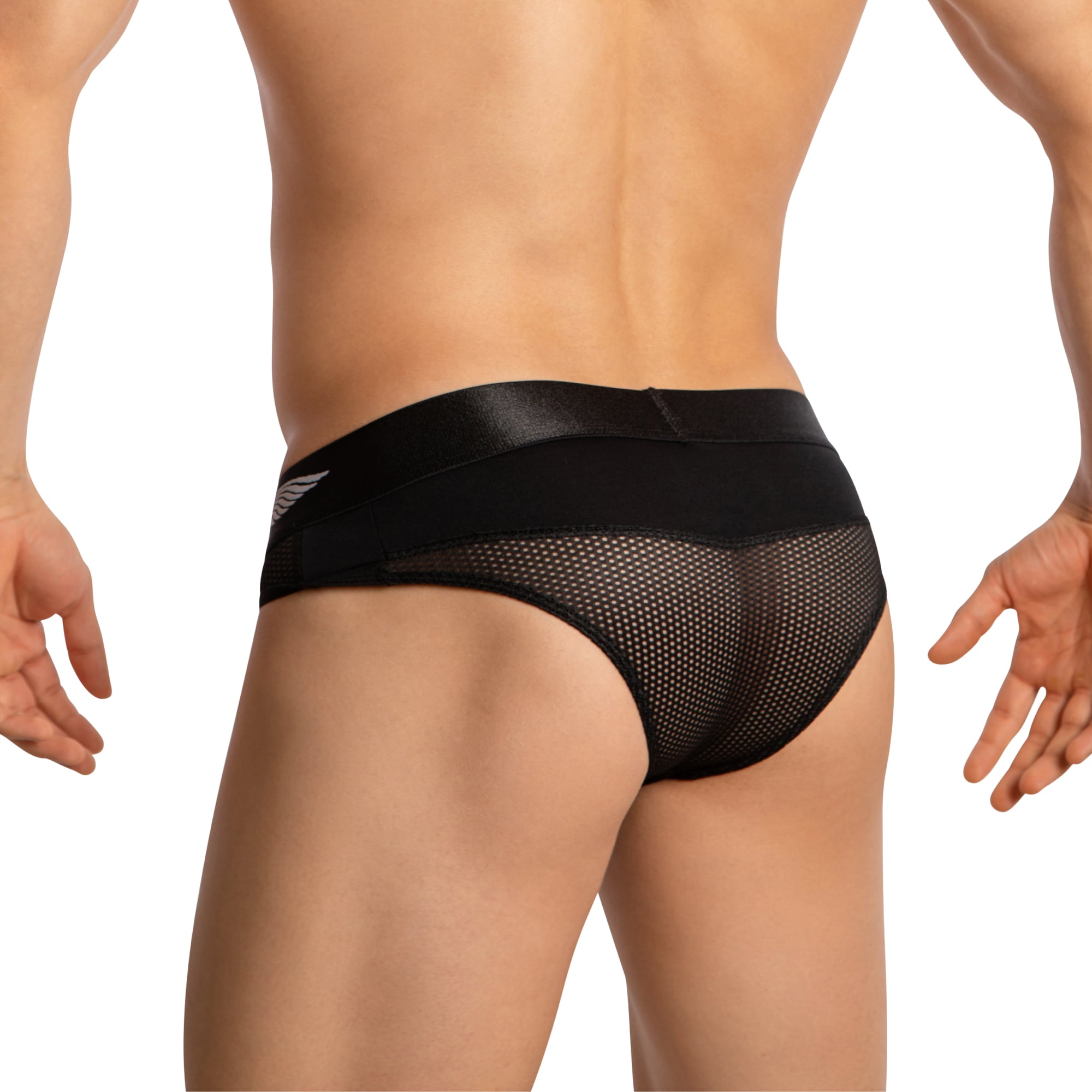 Agacio Men's Sheer Thongs AGJ042 Modern Male Lingerie