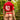 Agacio V-Cut Sheer Men's Thongs  AGK036 Daring Men's Undergarments